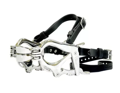 Pony Speculum