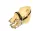 Standard Speculum