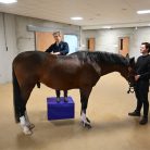 Physio & Chiro Block