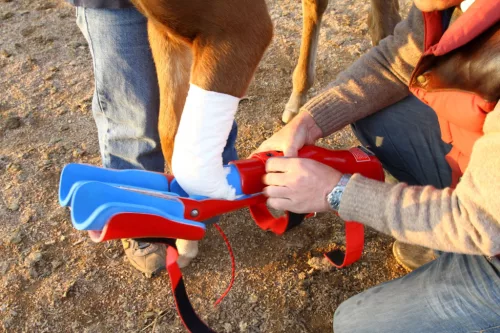 REDboot | Articulated Corrective Brace
