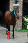 REDboot | Emergency Compression Boot