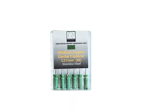 Dental Medium Explorers - 21 mm