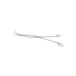 Alligator Forceps