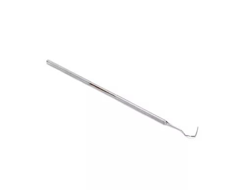 Dental Sond - Right Model