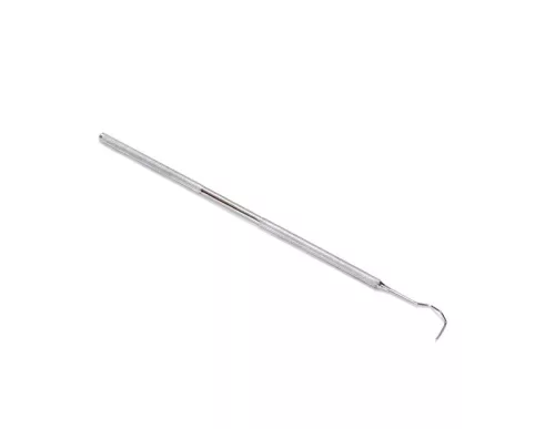 Dental Sond - Left Model