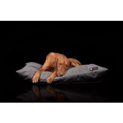 BASIC KUTYAFEKHELYEK - M