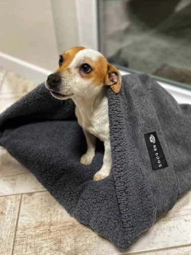 BEBÚJÓS KUTYAFEKHELYEK - L